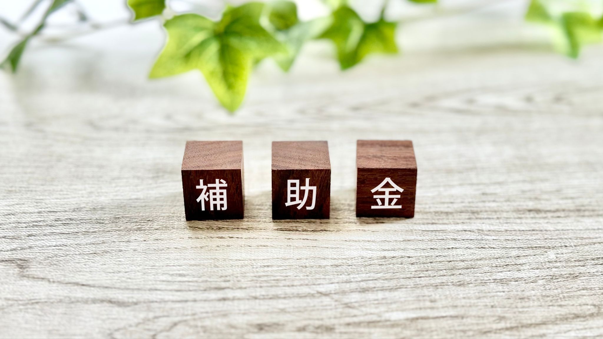 創業補助金とは？【2026年最新】今使える制度一覧と申請のポイントをわかりやすく解説